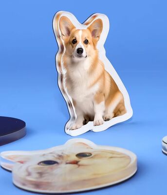 İyi bir fiyat. HAPPY GIFT Özel Üretim Evcil hayvan tasarımı Akrilik Buzdolabı Mıknatısı Tatlı Anime Özelleştirme Holografik Plastik Dikkate Alıcı çevrimiçi